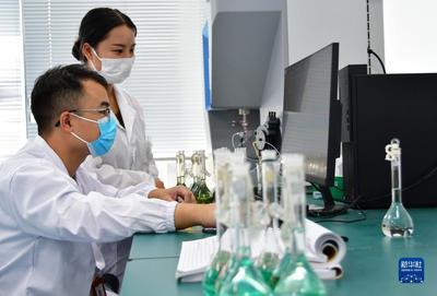 福建寧德:加大政策支持力度 助力新能源產業(yè)高質量發(fā)展